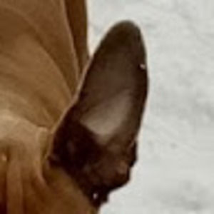 Meet your Posher, Jay